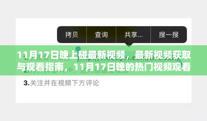 11月17日晚热门视频观看指南,最新视频获取与步骤详解