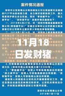 发财猪最新动态解析与指南,11月18日更新,初学者与进阶用户必读