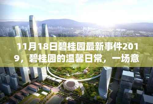 碧桂园温馨日常,意外惊喜派对事件回顾 2019年11月18日