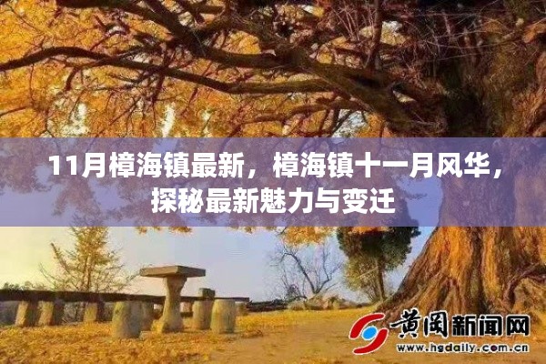 樟海镇十一月风华揭秘,最新魅力与变迁探秘