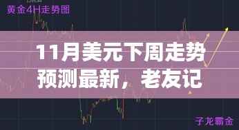 11月美元走势预测,老友记般的货币之旅
