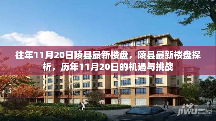 历年11月20日陵县最新楼盘探析,机遇与挑战并存