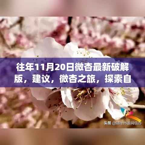 微杏之旅,探索自然美景之际需警惕违法犯罪风险,希望符合您的要求,您也可酌情调整。