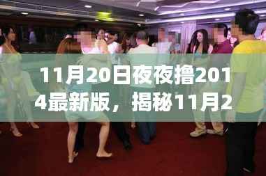 揭秘,11月20日夜夜撸2014最新版功能解析与热点探讨