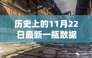 历史上的11月22日最新一瓶数据,探秘小巷深处的宝藏,历史上的11月22日最新一瓶数据独家揭秘