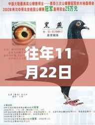 探秘时光深处的特色小店,鸽行天下带你寻觅小巷深处的独特风味——80后特色小吃之旅