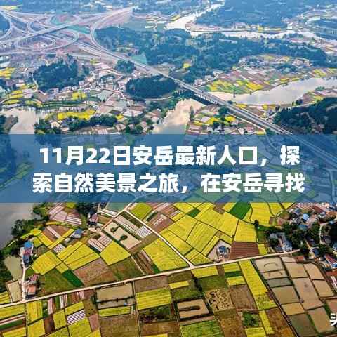 安岳人口新动态与心灵之旅,人口探索与自然美景的融合