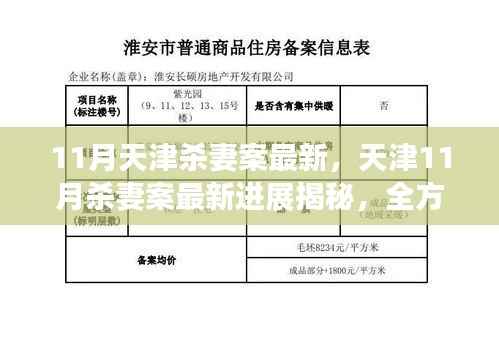 天津11月杀妻案最新进展揭秘,全方位了解案件进展与应对之策