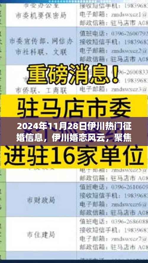 伊川婚恋风云,聚焦征婚热潮,最新热门征婚信息(2024年11月28日)