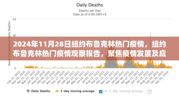 纽约布鲁克林疫情观察报告,聚焦疫情进展与应对措施(2024年11月28日)