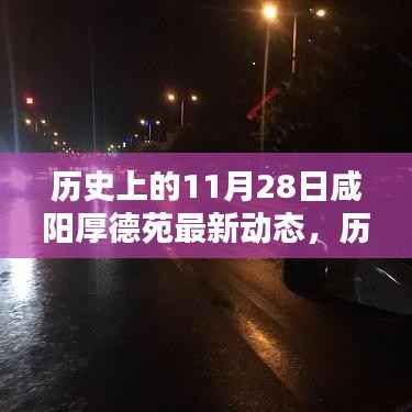 历史上的11月28日咸阳厚德苑最新动态揭秘,历史与现状的交汇点