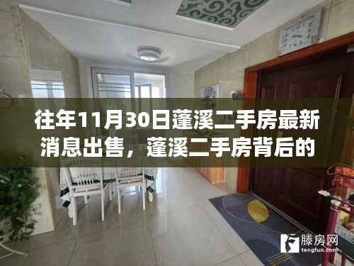 蓬溪二手房最新消息,奇遇之旅背后的温情故事(11月30日特辑)