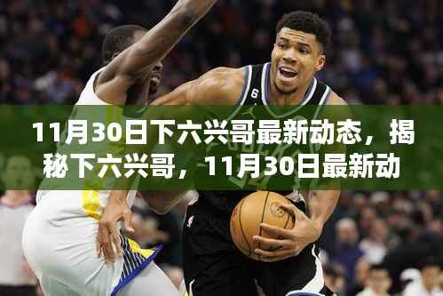 揭秘下六兴哥,最新动态揭晓(11月30日更新)