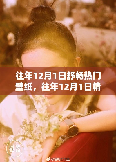 往年12月1日舒畅壁纸精选,温馨桌面新风尚打造指南