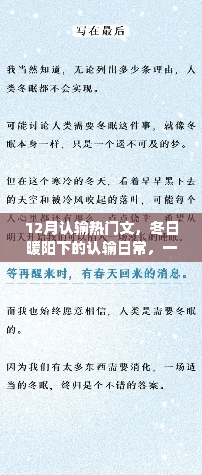冬日暖阳下的认输日常,温馨的友谊故事