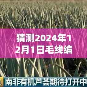 🌟独家预测,小红书揭秘2024年最火毛线编织地毯新织法🔥
