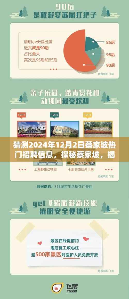 揭秘蔡家坡,小巷特色小店与未来热门招聘信息展望(2024年12月2日)