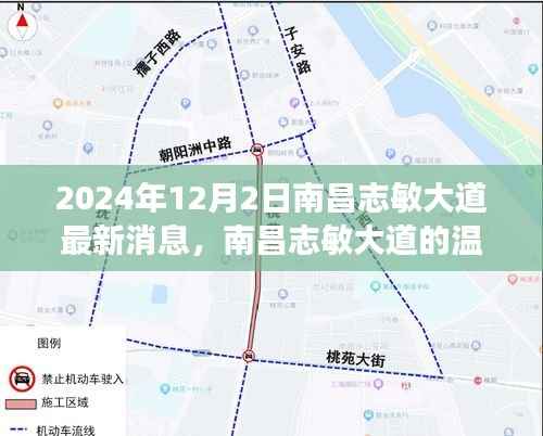 南昌志敏大道,爱的传递与日常陪伴的奇妙旅程(最新消息)