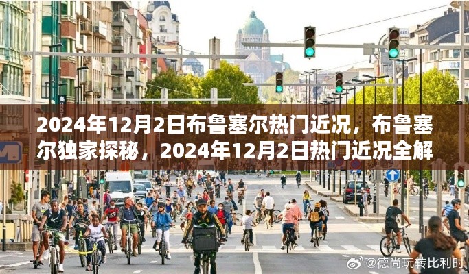 布鲁塞尔独家探秘,揭秘2024年12月2日布鲁塞尔热门近况全解析