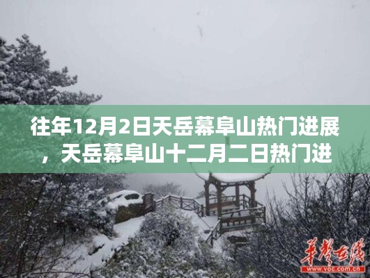 天岳幕阜山12月2日进展概览,热门进展悉数呈现