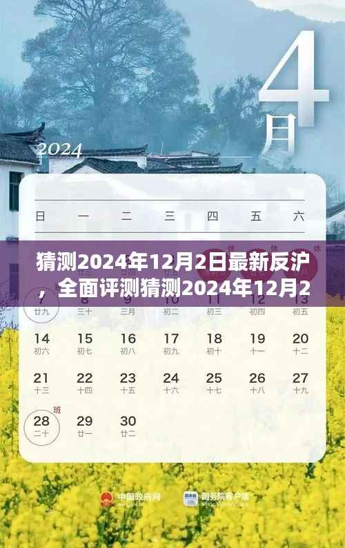 2024年12月2日最新反沪全面评测,特性、体验、竞品对比及用户群体深度分析