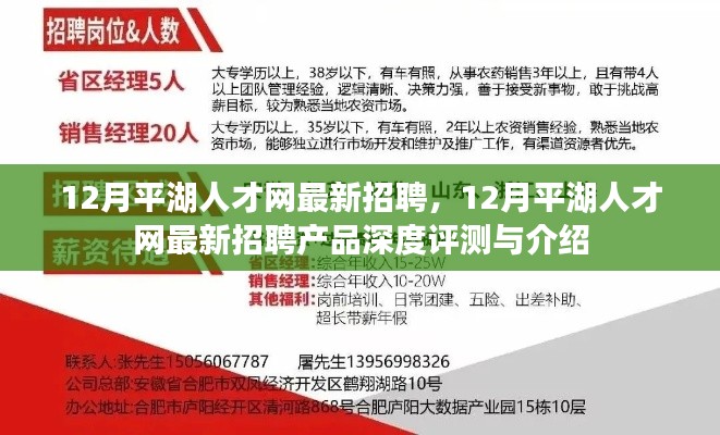 12月平湖人才网最新招聘及招聘产品深度评测介绍