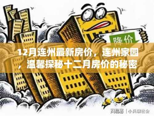 揭秘连州最新房价动态,家园温馨探秘之旅(十二月版)