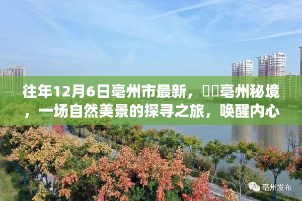 亳州市秘境探寻之旅,自然美景唤醒内心的宁静与欢笑