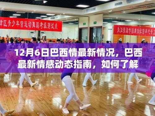 12月6日巴西情感最新动态,体验巴西情感文化与指南