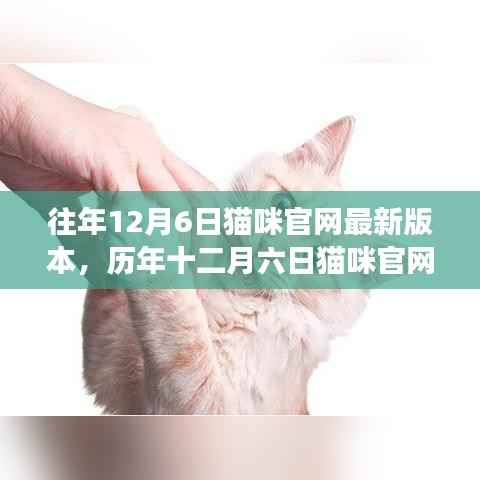 历年十二月六日猫咪官网新版深度解析,背景、影响与特定时代地位探索