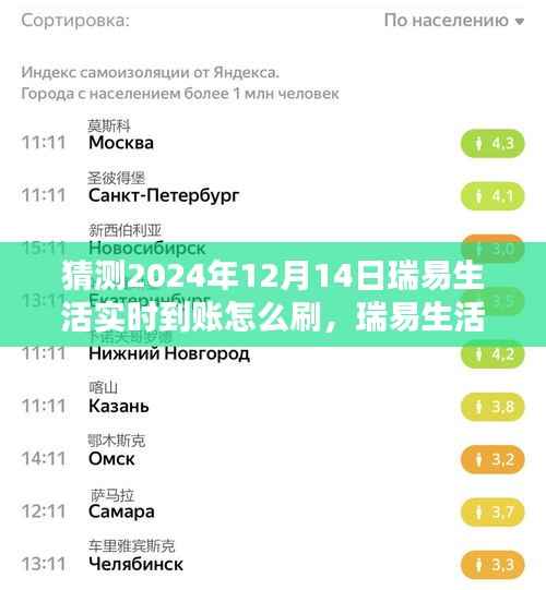 瑞易生活实时到账操作指南,初学者与进阶用户步骤详解,预测2024年12月14日最新操作技巧