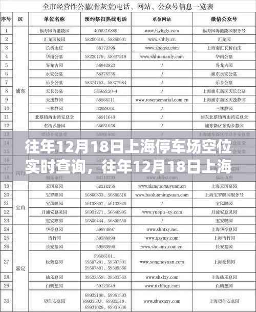 往年12月18日上海停车场空位实时查询,多方观点与个人立场解析