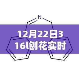12月22日316L刨花实时价格深度解析,刨花新纪元全面介绍与评测