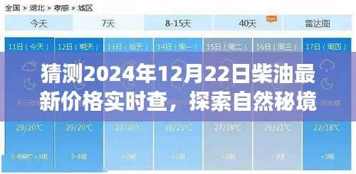 探索自然秘境,启程预测柴油价格之旅,2024年12月22日柴油最新价格实时查询