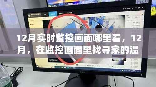 12月监控画面探家温馨陪伴,实时观察家的温暖瞬间