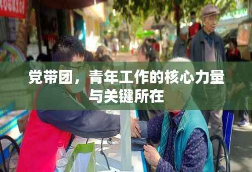 党带团,青年工作的核心力量与关键所在
