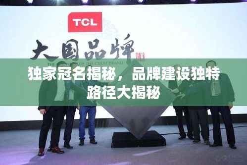 独家冠名揭秘,品牌建设独特路径大揭秘