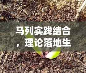 考级报名 第247页