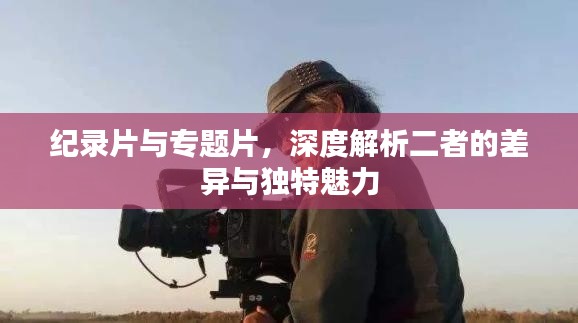 纪录片与专题片,深度解析二者的差异与独特魅力