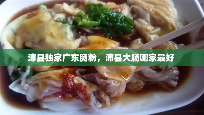 沛县独家广东肠粉,沛县大肠哪家最好