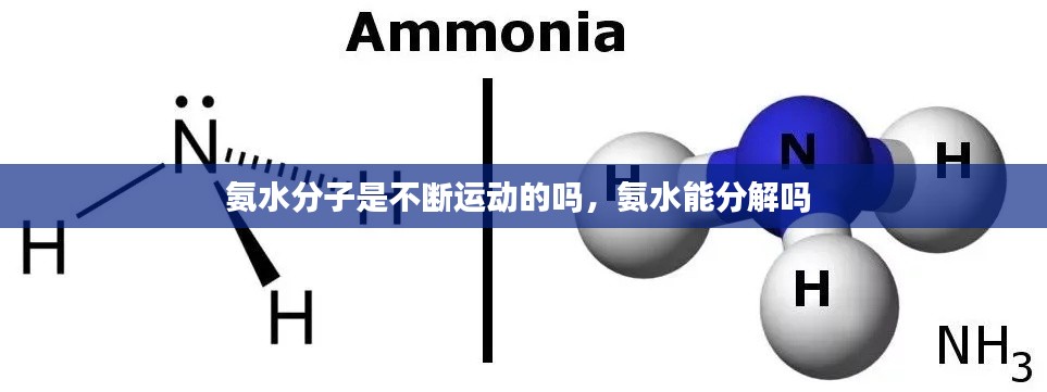 氨水分子是不断运动的吗,氨水能分解吗