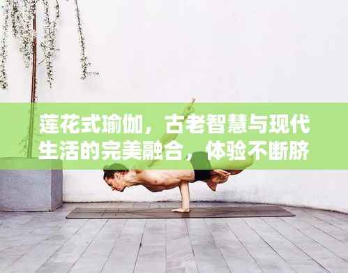 莲花式瑜伽,古老智慧与现代生活的完美融合,体验不断脐的奥秘