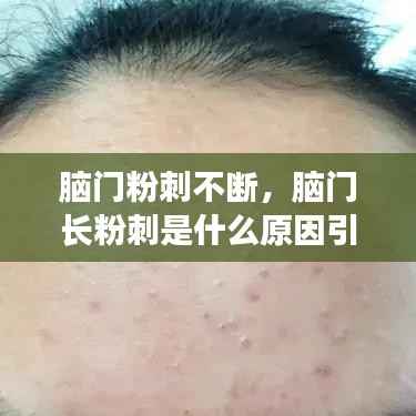 真独简贵