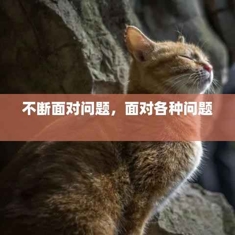 不断面对问题,面对各种问题
