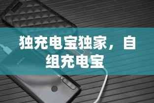 独充电宝独家,自组充电宝