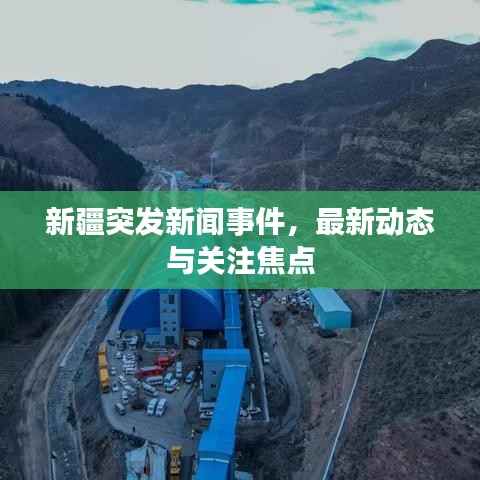 新疆突发新闻事件,最新动态与关注焦点