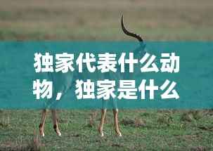 独家代表什么动物,独家是什么