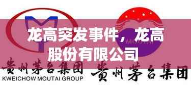 龙高突发事件,龙高股份有限公司