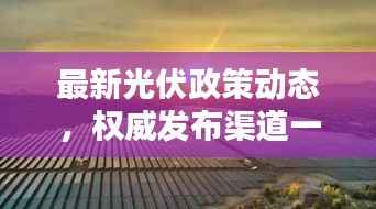 最新光伏政策动态,权威发布渠道一网打尽