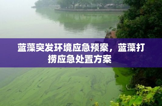 蓝藻突发环境应急预案,蓝藻打捞应急处置方案